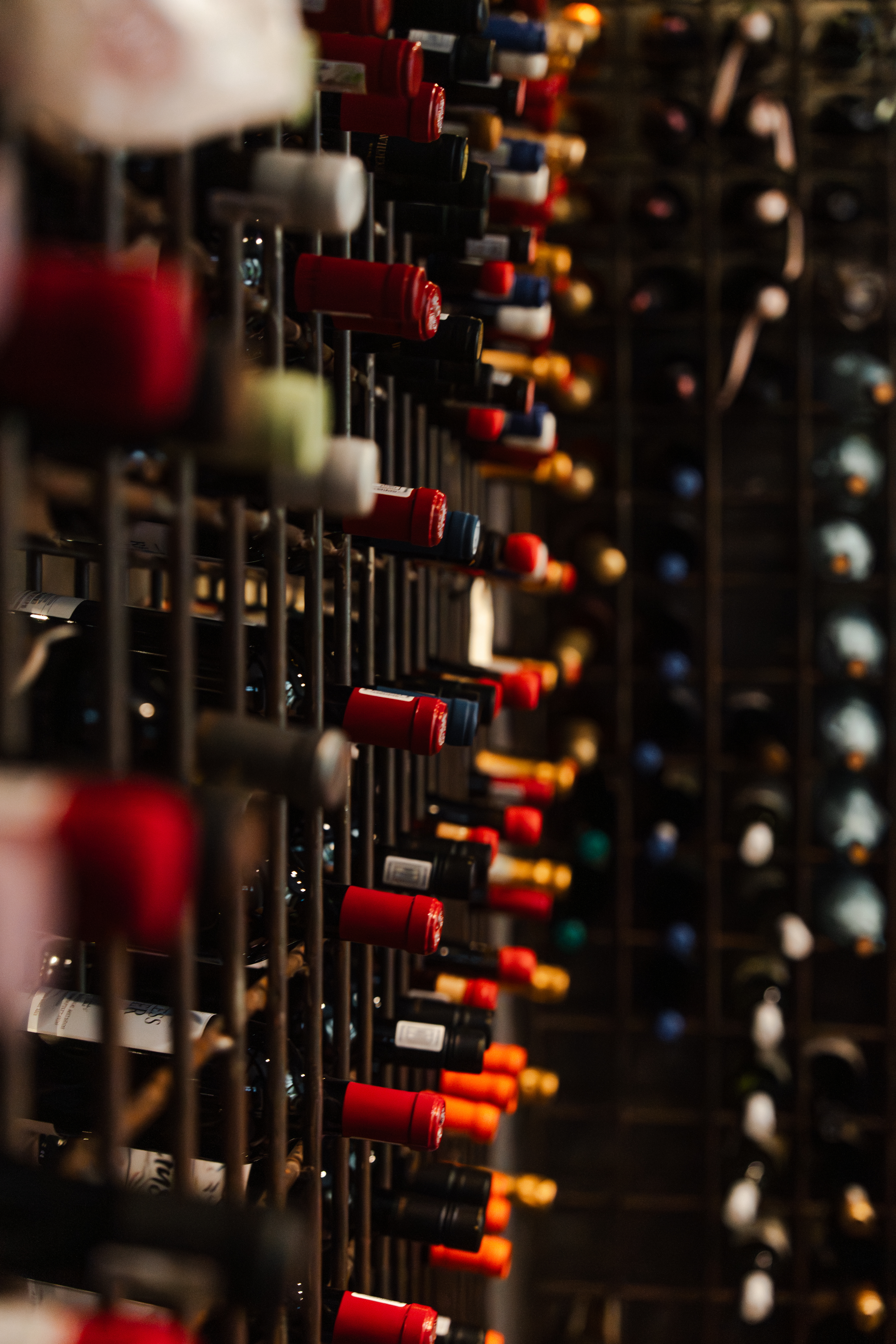 Wine Tour